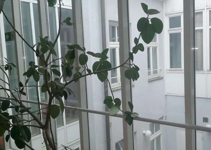 Alina's *